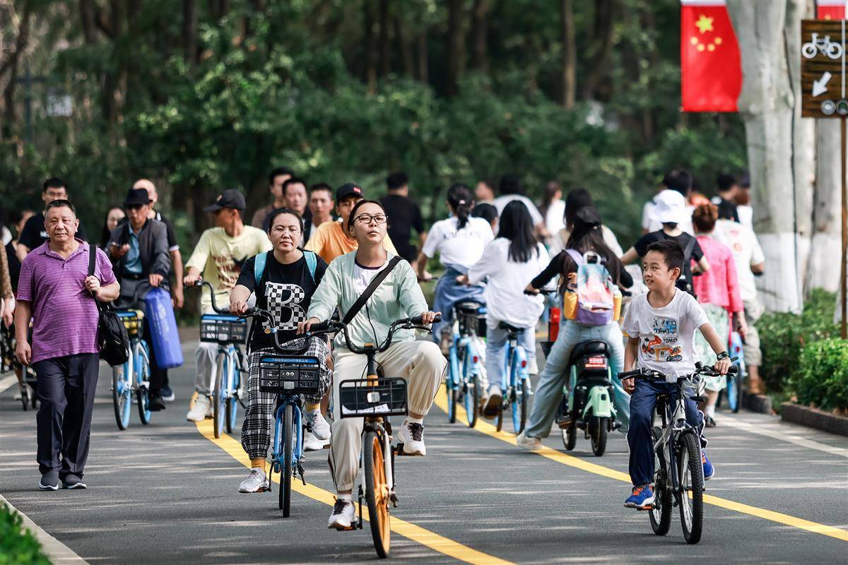 大奖网彩票网址入口